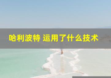 哈利波特 运用了什么技术